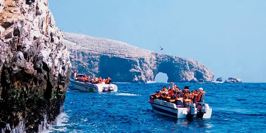 Islas Ballestas + buggy y sandboarding en Huacachina