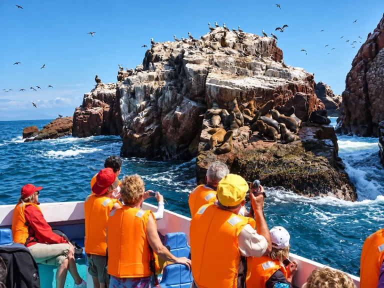 Turistas observando leões-marinhos e aves em um passeio pelas Ilhas Ballestas